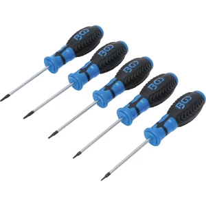 JUEGO DE DESARMADORES | PERFIL EN T (PARA TORX) | T6 - T10 | 5  PIEZAS